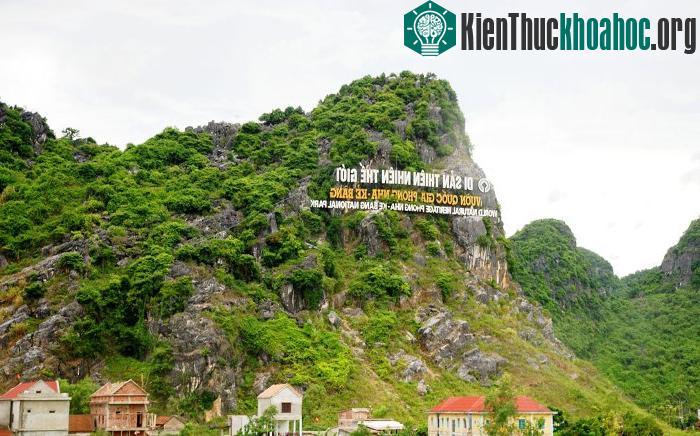 Vườn quốc gia Phong Nha - Kẻ Bàng: Kỳ quan đệ nhất động