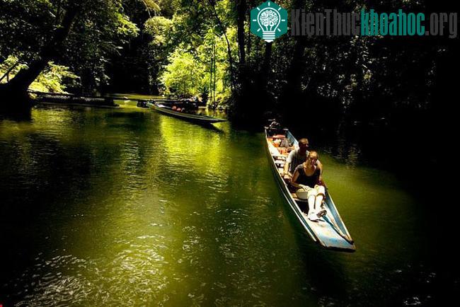 Hệ động thực vật phong phú và đa dạng cũng là một trong những yếu tố hấp dẫn của vườn quốc gia