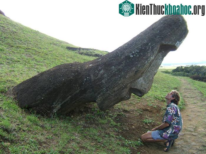 Theo những gì còn lại hiện nay thì hòn đảo khá nghèo nàn về hệ động thực vật, hầu hết trên đảo chỉ có đá trơ trọi và khoảng 50 loài thực vật sinh trưởng.