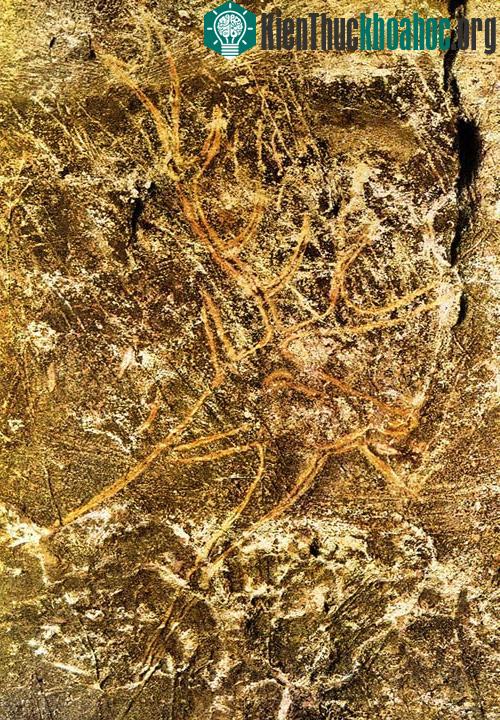 Di chỉ khảo cổ thời tiền sử ở thung lũng Dordogne và các hang động ở thung lũng Vézère - Pháp