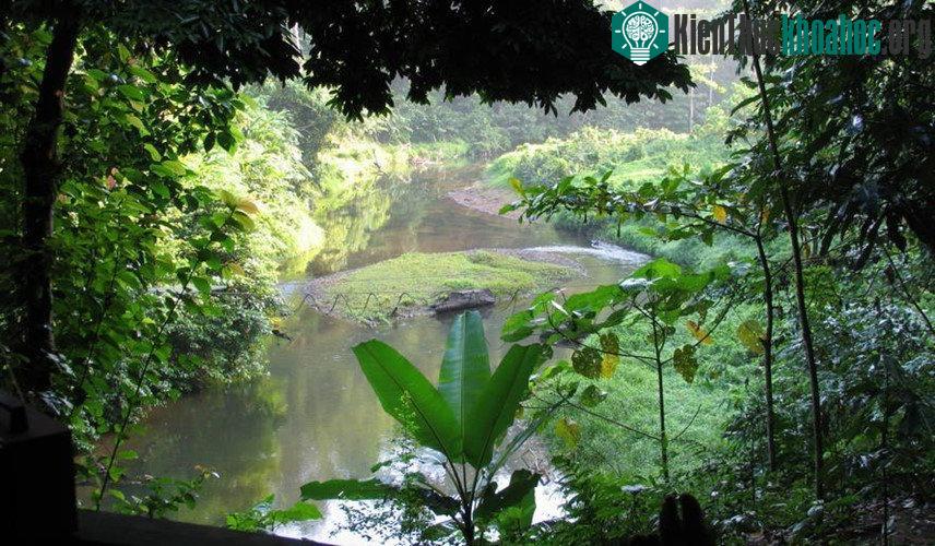 Di sản rừng mưa nhiệt đới đảo Sumatra, Indonesia