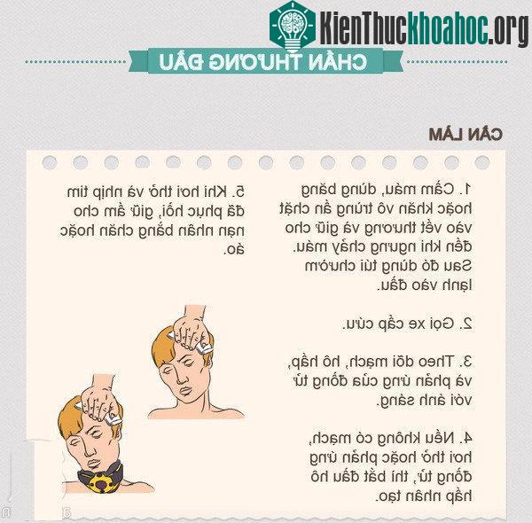 Khi bị chấn thương đầu, cần cầm máu, dùng băng hoặc khăn vô trung ấn chặt vào vết thương và giữ cho đến khi ngưng chảy máu.