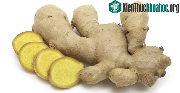 Khi bị ngộ độc, ngậm một lát gừng trong miệng để ngăn buồn nôn.