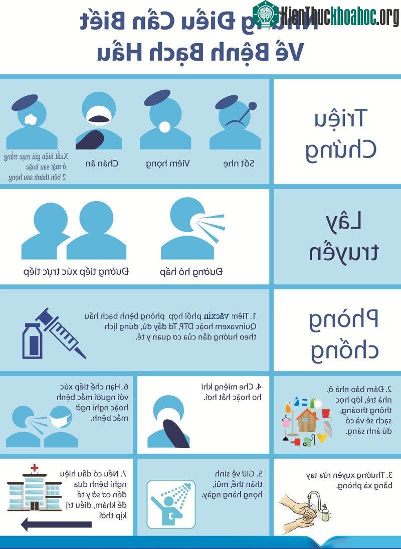 Triệu chứng và cách phòng chống lây nhiễm bệnh bạch cầu.
