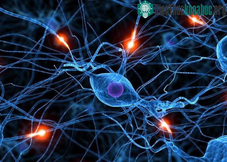 Phương pháp này giúp kiểm soát bệnh, làm nhỏ hoặc biến mất khối u. (Ảnh minh họa).