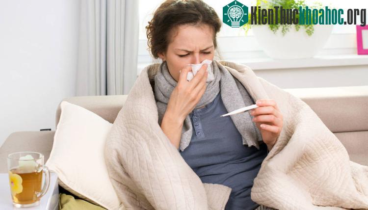 Bệnh cảm lạnh vô cùng khó chịu.