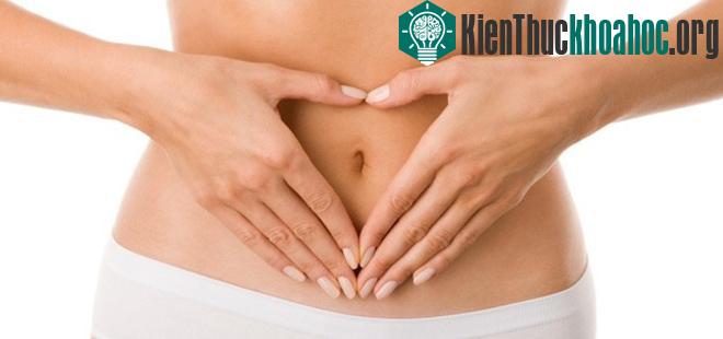 Mỗi bộ phận trong cơ thể lại có từng múi giờ giải độc khác nhau. (Ảnh: Centerinc).