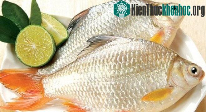 Dùng muối rắc đều lên mình cá hoặc sử dụng một chút giấm đổ vào cá sau đó để nơi khô thoáng để bảo quản cá. (Ảnh minh họa).
