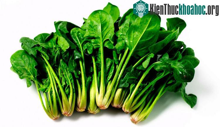 Rau chân vịt có thể hỗ trợ cho những người bị bệnh viêm khớp, loãng xương, ung thư ruột kết và các vấn đề tim.