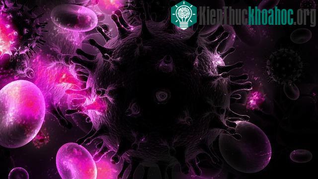 Khoảng 36,9 triệu người trên thế giới bị nhiễm HIV.