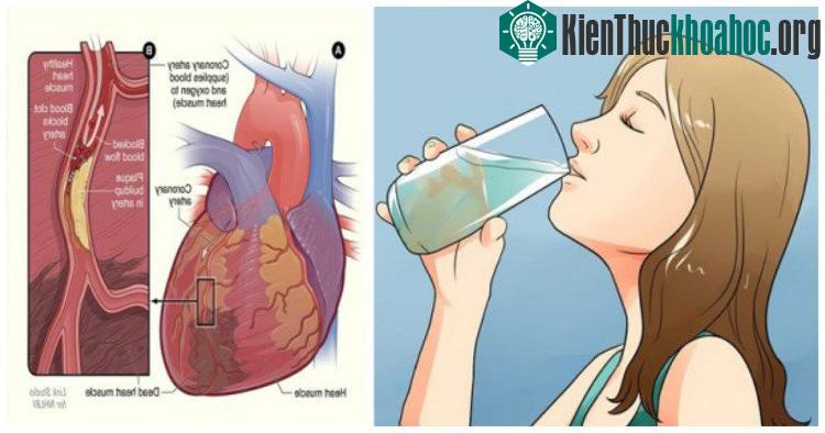 Phương pháp uống nước của người Nhật giúp bạn cả đời không lo bệnh - (Ảnh: Wikihow).
