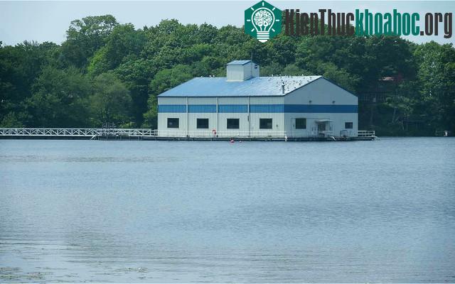 Câu chuyện kì diệu bắt đầu từ một hồ nước xinh đẹp vùng ngoại ô tiểu bang Connecticut, Mỹ.