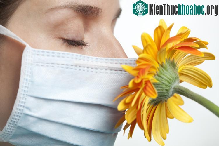 Những người cơ địa dị ứng hít phải phấn hoa có thể làm khởi phát cơn hen. (Ảnh minh họa: Health).