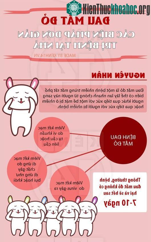 Những điều "không thể không biết" về bệnh đau mắt đỏ