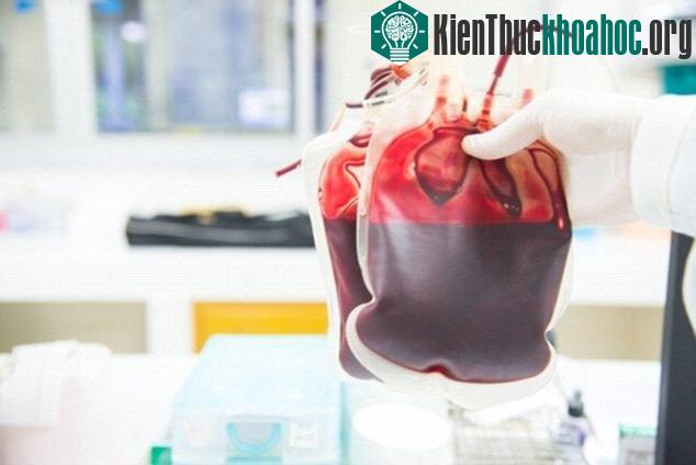 Máu nhân tạo có nhiều tiềm năng sử dụng trong tương lai. (Ảnh: Wordpress).