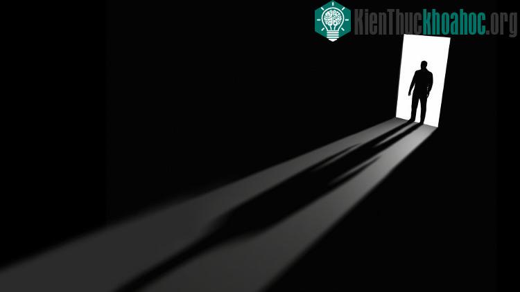 Con người có phản xạ khá tốt, nhưng một số điều chúng ta để cho bản năng tự xử lý.