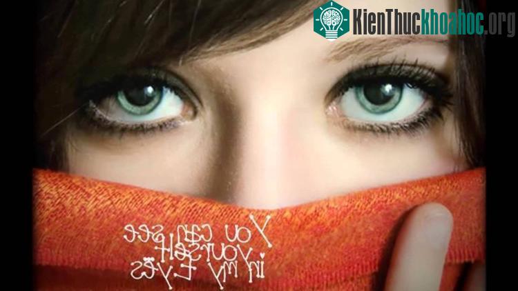 Các ca phẫu thuật cấy ghép mắt từng là mục tiêu của các chuyên gia trong nhiều thế kỷ.