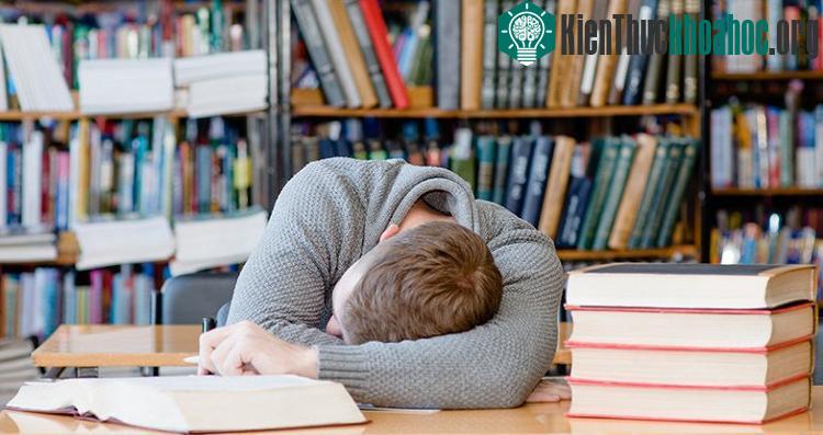 Một giấc ngủ ngắn có thể là cách để củng cố ký ức, khiến chúng được lưu trữ lâu hơn trong não bộ của mỗi chúng ta.