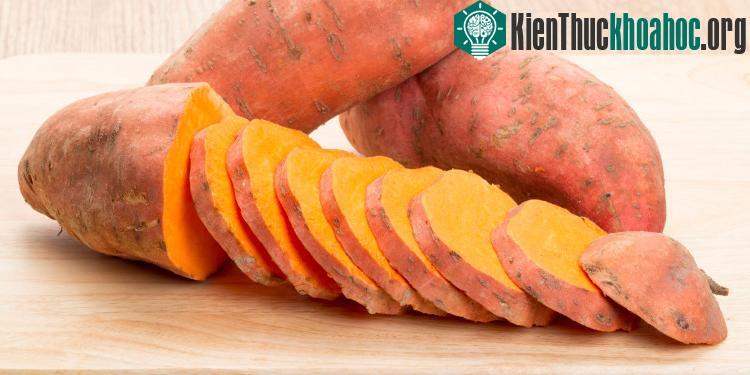 Khoai lang có chứa DHEA có thể ngăn ngừa ung thư và kéo dài tuổi thọ.