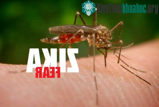 CDC khuyến nghị cho trẻ nghỉ ngơi nhiều, bù nhiều dịch, điều trị sốt bằng acetaminophen và ngứa bằng thuốc kháng histamine.