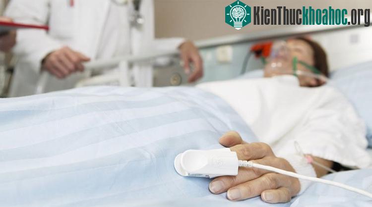 Tình trạng hôn mê là do chấn thương một vùng nhỏ của vỏ tiểu não.