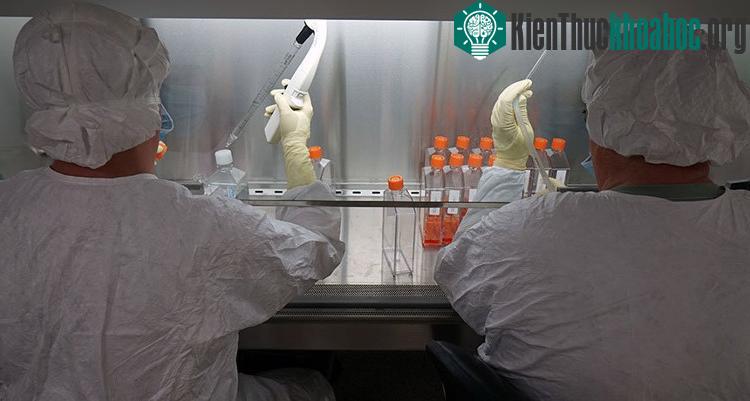Mỹ thử nghiệm vaccine phòng ngừa Zika trên cơ thể người gọi là ZPIV. (Ảnh: NBC News).