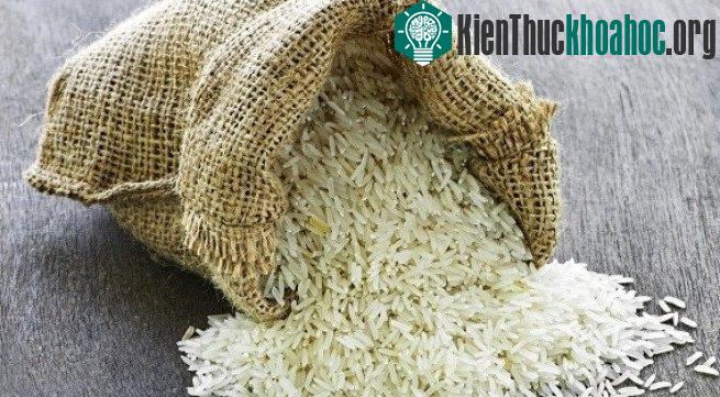 Chỉ 3 bát cơm gạo giả cũng tương đương với một túi ni lông nhựa được đưa vào cơ thể.