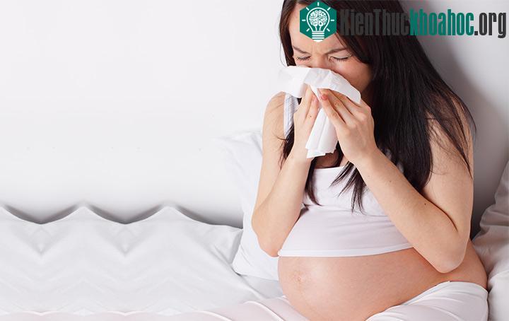 Phụ nữ mang thai đã được xét nghiệm virus Zika âm tính, có thể điều trị triệu chứng nếu cần. (Ảnh minh họa: Newsweek).