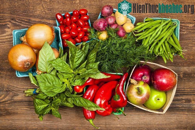 Cà chua sẽ được lưu giữ tốt nhất trong môi trường tự nhiên. (Ảnh: WP).