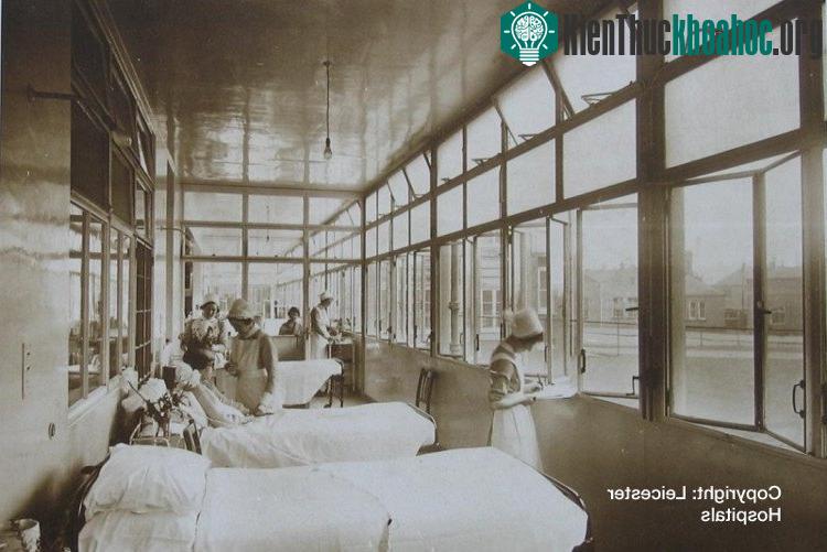 Nếu không có kháng sinh thì một nhiễm trùng bình thường cũng có thể khiến bạn mất mạng.