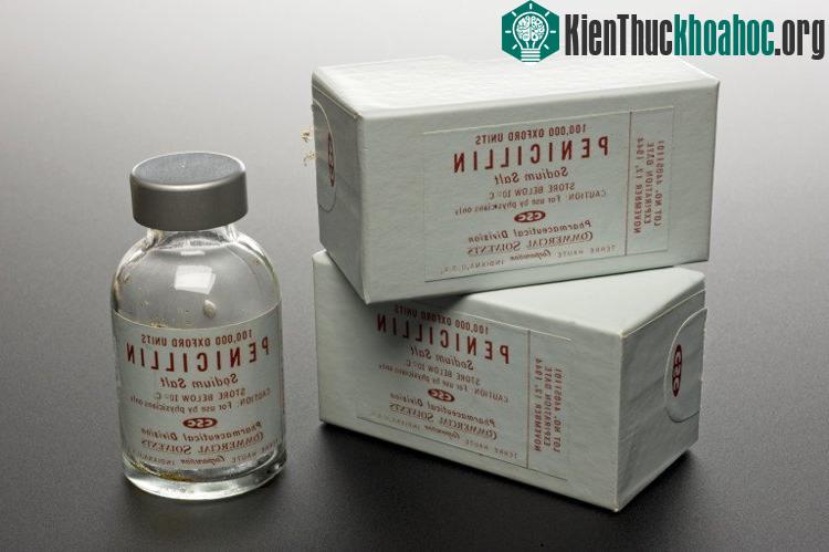 Thuốc kháng sinh được Alexander Fleming tìm ra.