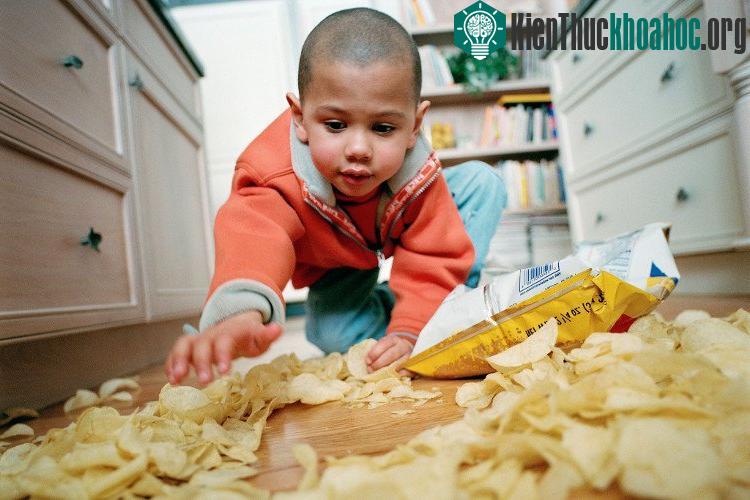 Vi khuẩn có thể bám lên đồ ăn trong chưa đầy 5 giây. (Ảnh: Lori Adamski Peek).