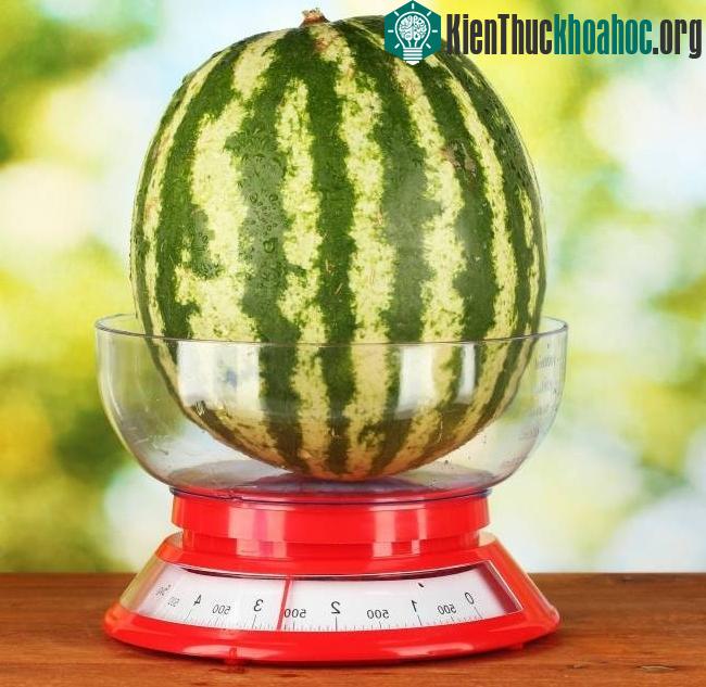 Nên chọn quả dưa có kích cỡ lớn 1 chút.