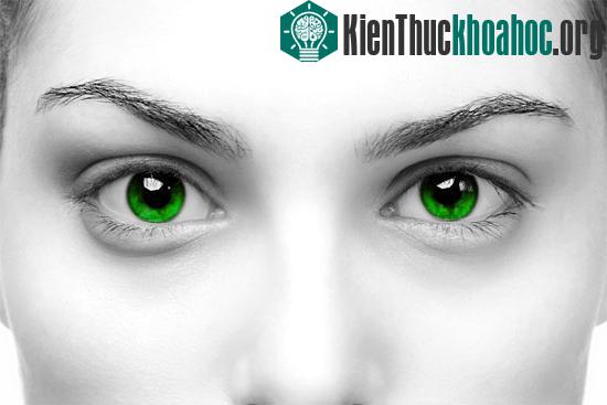 Nhìn mắt đoán những rủi ro về sức khỏe có thể - (Ảnh minh họa: Shutterstock)