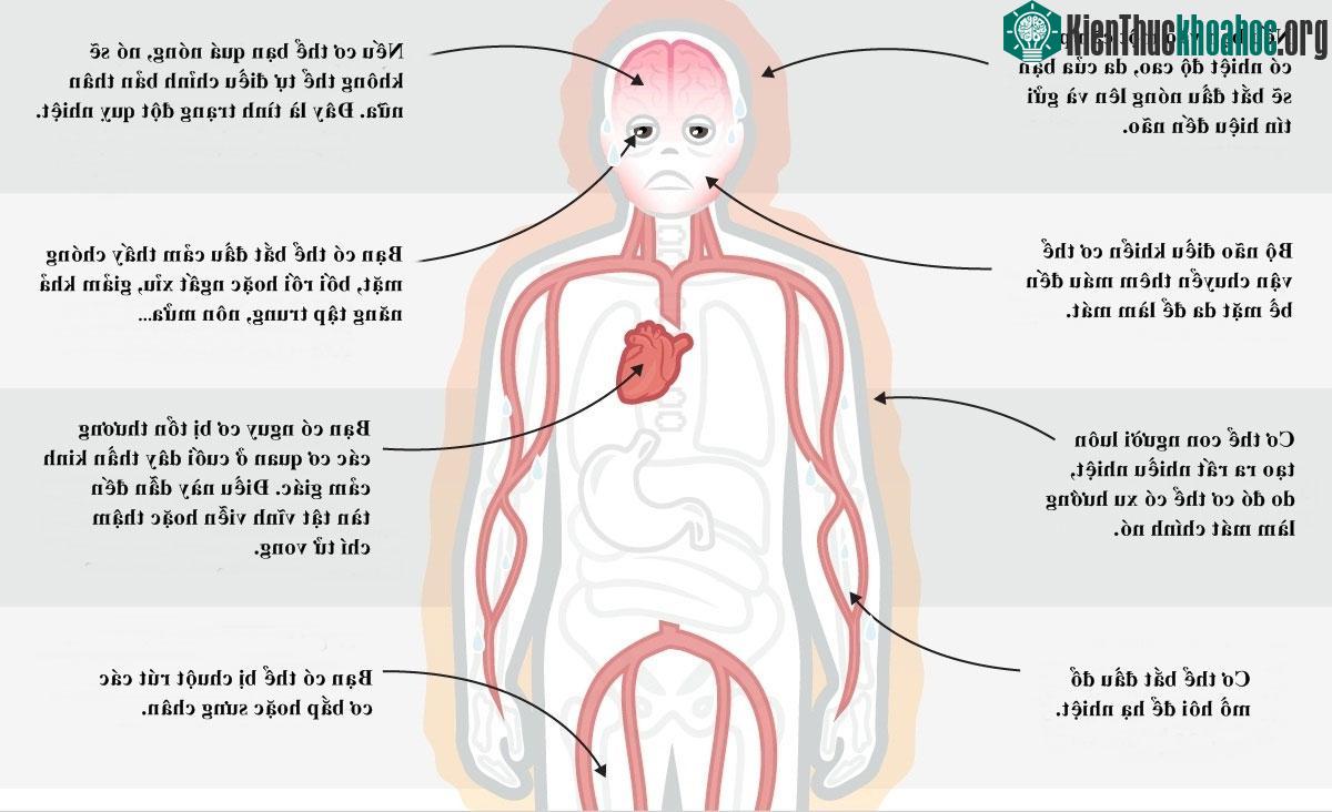 Khi nhiệt độ lên quá cao, bạn có thể thấy chóng mặt, hoa mắt, bối rối hoặc ngất xỉu...