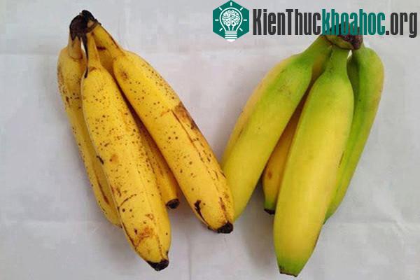 Chuối chín ép vàng tươi nhưng phần cuống vẫn còn xanh. (Ảnh minh họa: P.T).
