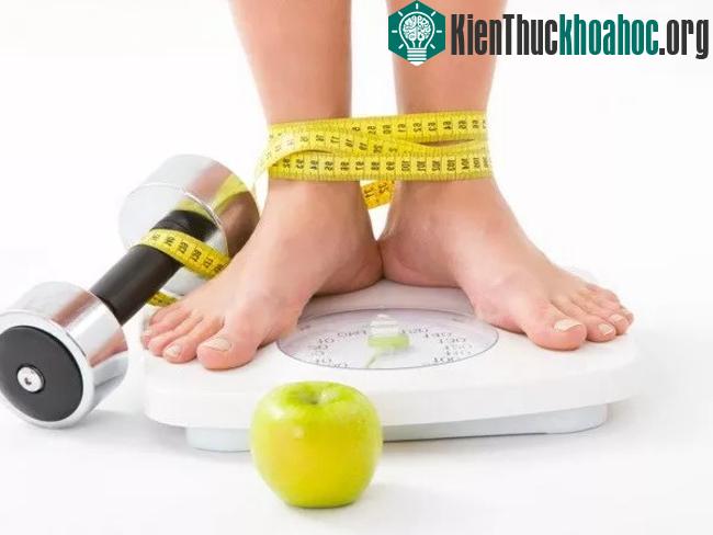 Mỗi cơ thể có một cơ chế đốt mỡ riêng