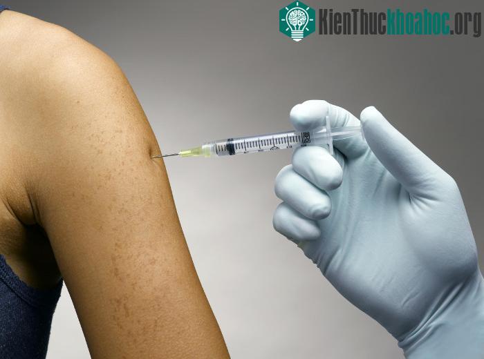 HPV là bệnh nhiễm trùng qua đường tình dục phổ biến nhất.
