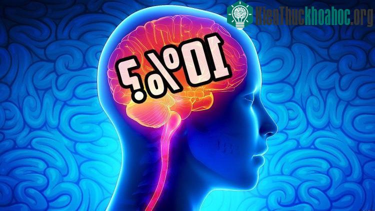 Bên trong hộp sọ của người đàn ông này chứa đầy chất lỏng, chỉ có một lớp mỏng mô não ở bên ngoài.
