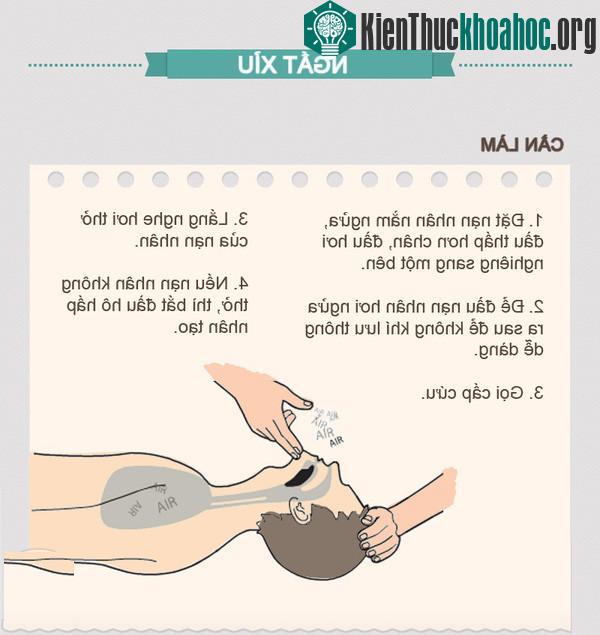 Khi nạn nhân bị ngất xỉu, hãy để nạn nhân nằm ngửa, đầu thấp hơn chân, đầu hơi nghiêng sang một bên.