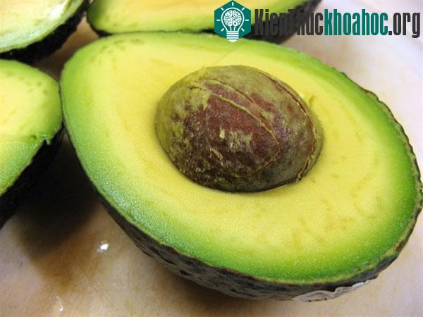 Tác hại khôn lường khi ăn quá nhiều quả bơ