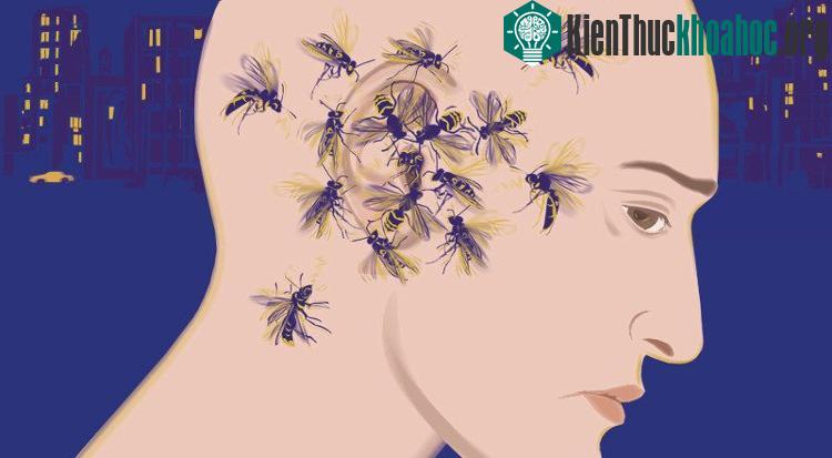 Người ù tai thường xuyên nghe thấy những âm thanh lạ từ bên trong ốc tai, do dây thần kinh bị tổn thương.