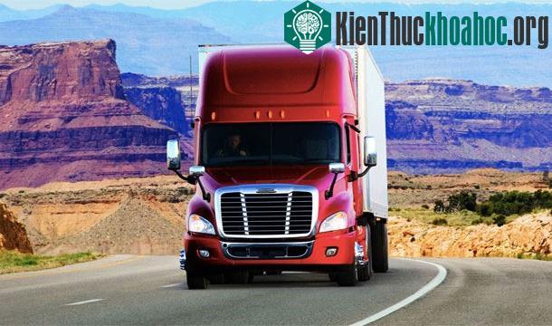 25 sự thật thú vị về trái tim của bạn