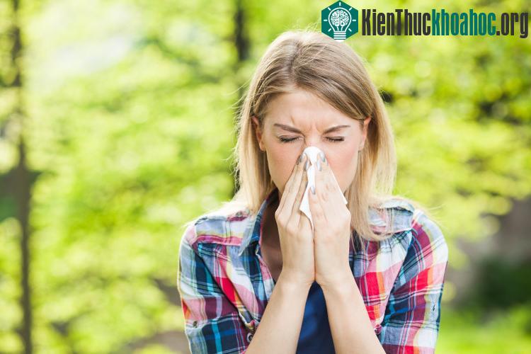 Kháng sinh chỉ hoạt động để chống lại vi khuẩn.