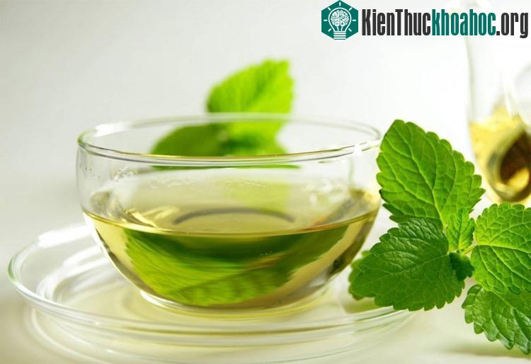 Uống một tách trà bạc hà sau khi ăn sẽ giúp hỗ trợ đường tiêu hóa. (Ảnh: Buzzle).