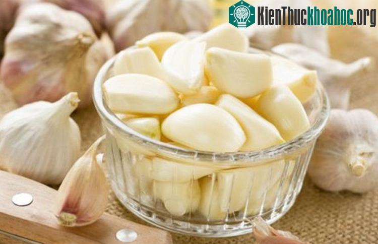 Tỏi cón có tác dụng giảm nồng độ cholesterol và tác dụng như chất chống oxy hóa.