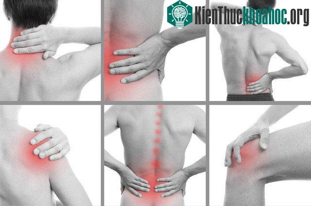 Cứ có khí lạnh tràn về, là ta lại trải qua cảm giác đau lưng, đau khớp...