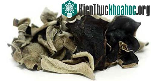 Chọn những cây mộc nhĩ cánh to, dày, có màu đen và có một lớp nhung phủ lên cánh. (Ảnh minh họa).