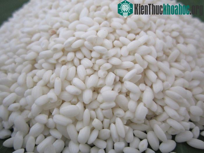 Chọn loại nếp có hạt đều, mẩy ngon nhất là loại nếp cái hoa vàng.