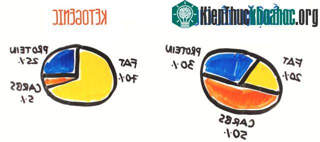 Nguyên tắc của chế độ ăn Ketogenic là bạn phải giảm lượng carbohydrate xuống mức 30-50g/ngày.